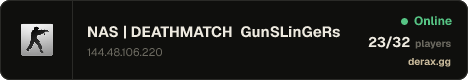 NAS | DEATHMATCH GunSLinGeRs FastDL 1000FPS