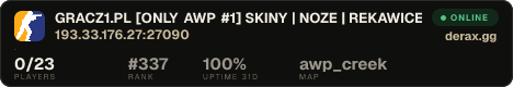 GRACZ1.PL [ONLY AWP #1] SKINY | NOZE | REKAWICE