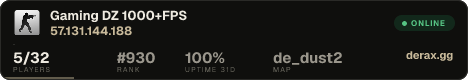 Gaming DZ 1000+FPS
